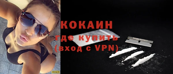 стафф Алзамай