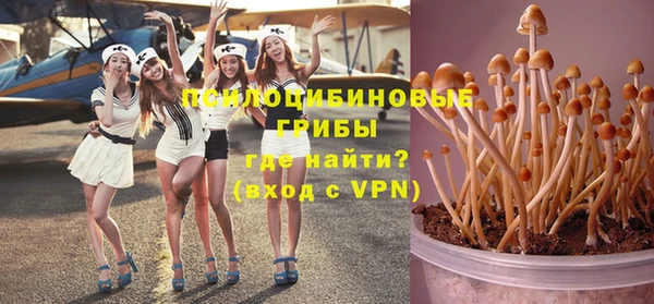 круглые Абаза