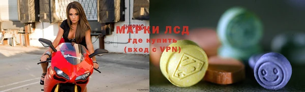 стафф Алзамай